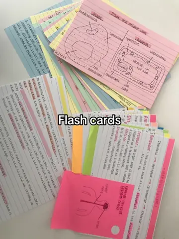 First slide: Flash cards