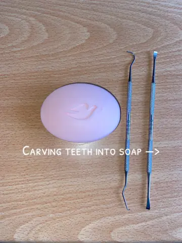 First slide: Carving teeth into soap —>