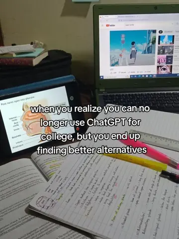 First slide: when you realize you can no longer use ChatGPT for college, but you end up finding better…