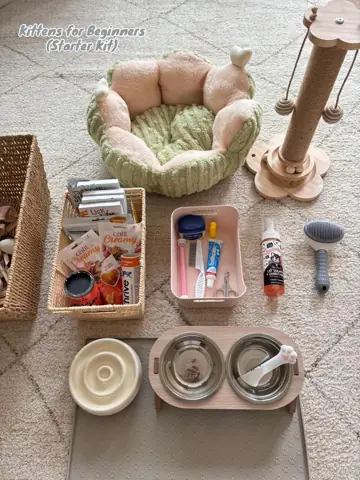 First slide: Kittens for Beginners (Starter Kit)