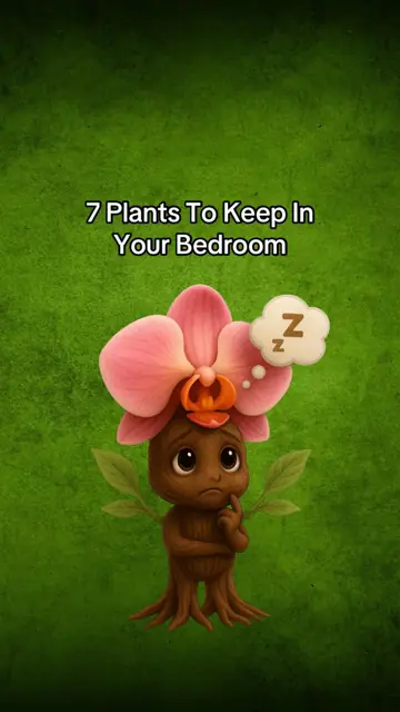 First slide: 7 Plants To Keep In Your Bedroom