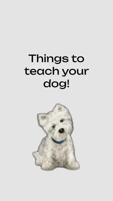 First slide: Things to teach your dog!